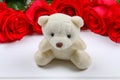 White teddy bear surrounded by pink roses on a white wooden table. Template for March 8, Mother's Day, Valentine's Day. Royalty Free Stock Photo