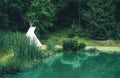 white teepee indian tent standing in beautiful landscape.