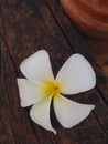 white temple flower on wooden floor