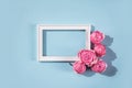 White text frame and pink peonies, roses Royalty Free Stock Photo