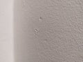 White Textured Angle Wall, Zoomed in