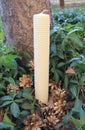 White textured candle on a background of foliage