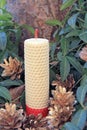 White textured candle with a red stripe on a background of green leaves.