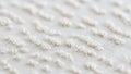 Of a white textured fabric featuring small raised tufts of thread Royalty Free Stock Photo