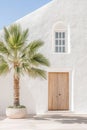 White textured wall with arched window and rustic wooden door beside potted palm tree. Royalty Free Stock Photo