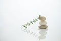 White three stack stone with green plant still life in zen wellness health spiritual concept Royalty Free Stock Photo