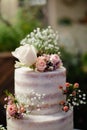 White three tiered naked wedding cake with tiny pink, orange roses decoration Royalty Free Stock Photo