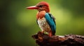 White-throated Kingfisher (Halcyon smyrnensis) Generative AI