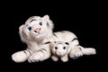 a white tiger with a cub isolated on a black background. children's toy Royalty Free Stock Photo