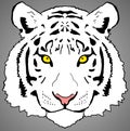 White Tiger Face Digital Painting- PNG Raster Design