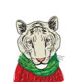 White Tiger head in a red knitted sweater and a green scarf. Sketch drawing. Black contour on a white background. Vector Royalty Free Stock Photo