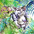 White tiger illustration. Tropical exotic forest, white tiger, green leaves, wildlife, watercolor illustration.