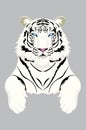 White tiger portrait Royalty Free Stock Photo