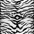 White tiger seamless pattern design, background Royalty Free Stock Photo