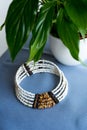 White and tiger stone beads necklace on a blue background with the plant