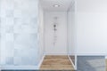 Loft white luxury bathroom interior, shower Royalty Free Stock Photo