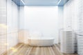 White tiled bathroom, white tub double Royalty Free Stock Photo