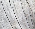 White timber board with obsolete crack lines Royalty Free Stock Photo