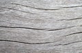 White timber board with weathered crack lines. Royalty Free Stock Photo