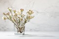 White tiny flowers on branch of bloom tree in glass in warm sun beam, modern interior with grey concrete wall, white wood table.