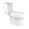 White toilet