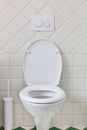 White toilet