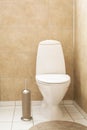 White toilet bowl in modern bathroom Royalty Free Stock Photo