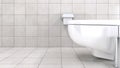 White toilet bowl in a modern bathroom Royalty Free Stock Photo