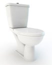 White toilet bowl