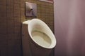 white toilet in modern home, white bowl in cleaning room, flushing liquid, private toilet in modern room, interior Royalty Free Stock Photo