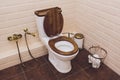 white toilet in modern home, white bowl in cleaning room, flushing liquid, private toilet in modern room, interior Royalty Free Stock Photo