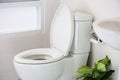 White toilet in modern home, white toilet bowl in cleaning room, flushing liquid in toilet, private toilet in modern room Royalty Free Stock Photo