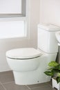 White toilet in modern home, white toilet bowl in cleaning room, flushing liquid in toilet, private toilet in modern room