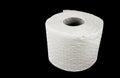 White toilet paper roll