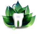 White tooth and bright green leafs Royalty Free Stock Photo