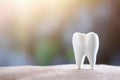 White tooth, sunlight emphasizes the cleanliness of the tooth, body background Royalty Free Stock Photo