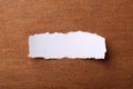 White Torn Paper Royalty Free Stock Photo