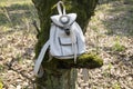A white tourist backpack hangs on a tree. The tree is covered with moss. Royalty Free Stock Photo
