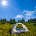 white touristic tent stay on forest glade at sunny day