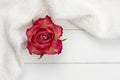 White towel and red rose