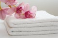 White towels Royalty Free Stock Photo