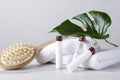 White towels, wooden brush for massage, bottles of lotion, body cream, green tropical leaf as a decor on the white table against b