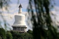 The white tower hide behind tree as background in Beihai Park in Beijing