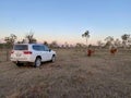 White Toyota 4WD Wagon on a cattle property in North Queensland, Australia Royalty Free Stock Photo