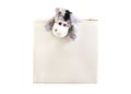 Toys box on white Royalty Free Stock Photo