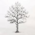 Hyper-realistic Tree Drawing: Detailed And Symmetrical Pencil Illustration Royalty Free Stock Photo