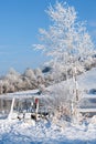 White tree and river Royalty Free Stock Photo