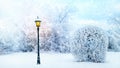 White trees in the snow and lantern in city park. Beautiful winter landscape. Christmas background. Copy space. Royalty Free Stock Photo