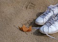 White trendy sneakers on the sandy beach