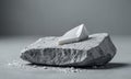 white triangular object rests on gray rock, surrounded by small white specks, against plain gray background.
